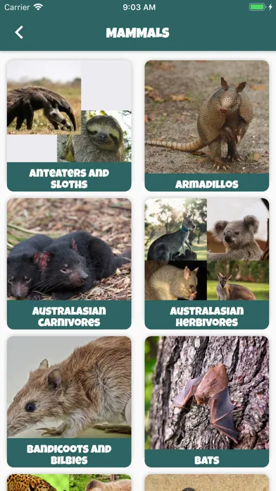 Animal Kingdom (wildlife)应用截图
