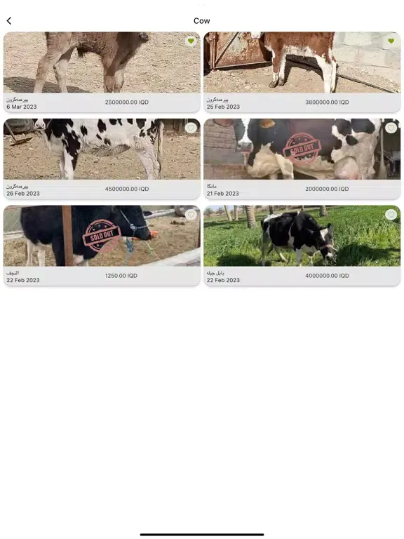 Maydan iPad  स्क्रीनशॉट