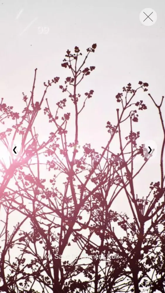 Capturas de tela do Panoramic Wallpapers (Premium)