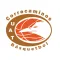 Correcaminos
