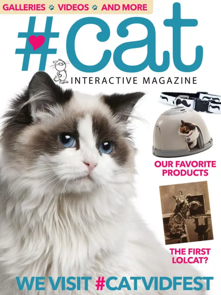 Hashtagcat iPad 應用截圖