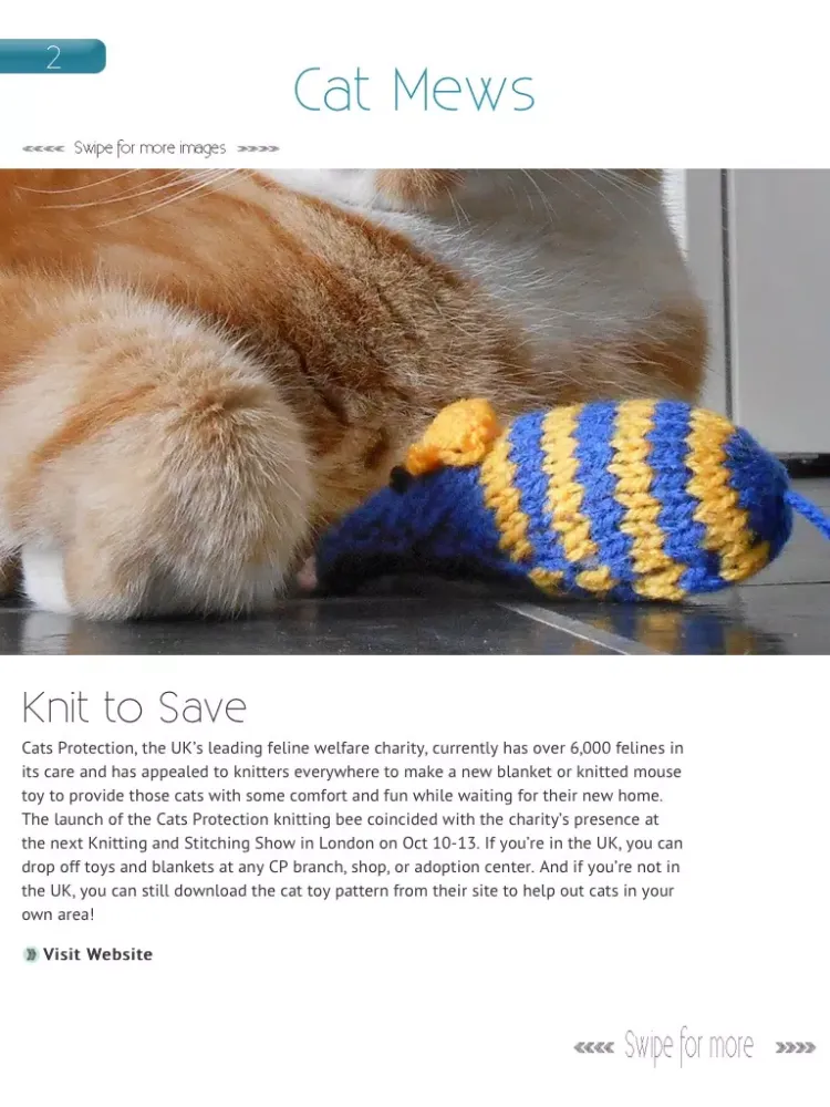 Hashtagcat iPad 應用截圖
