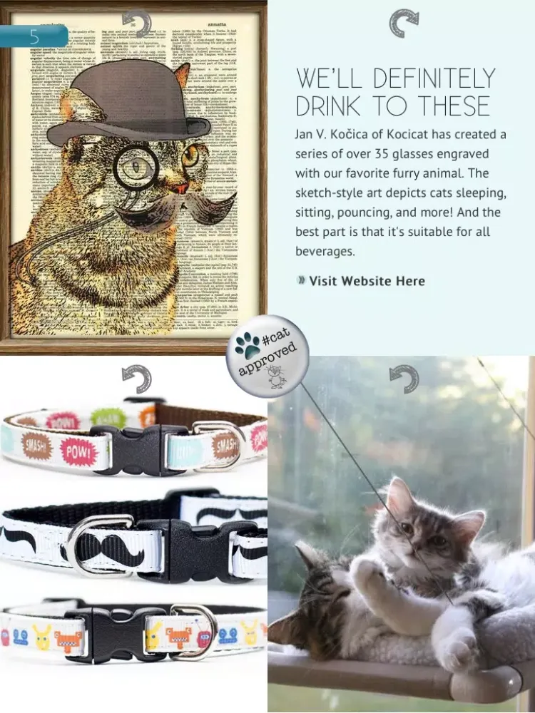 Hashtagcat iPad 應用截圖
