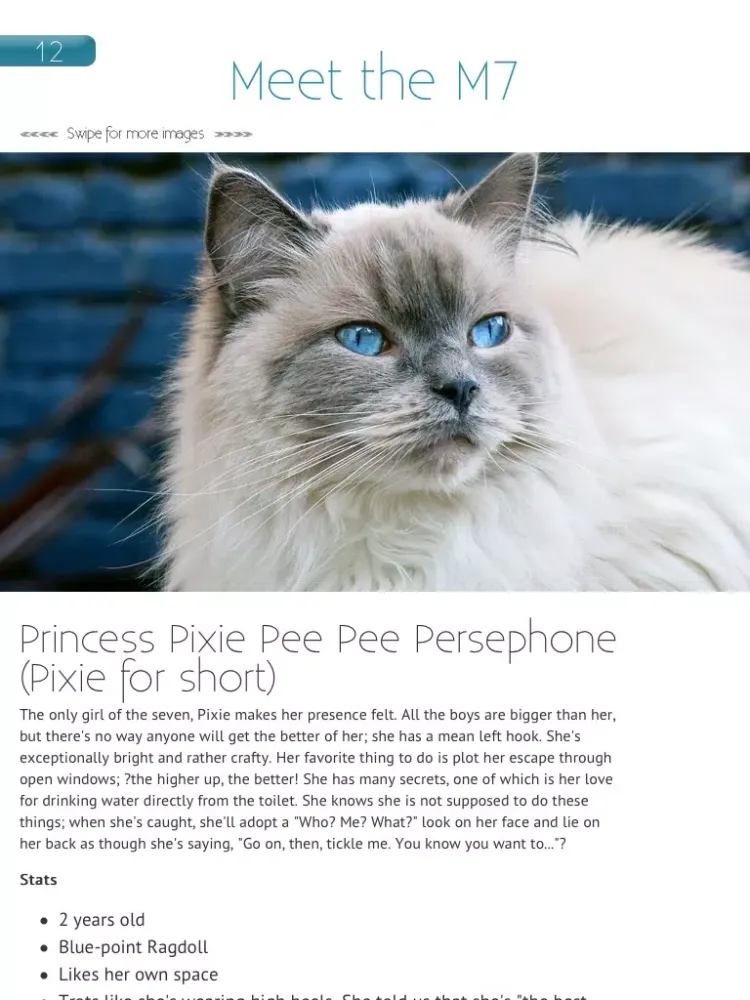 Hashtagcat iPad 應用截圖