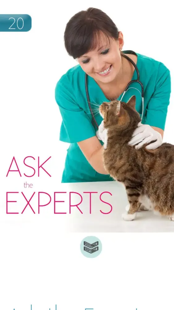 Hashtagcat應用截圖