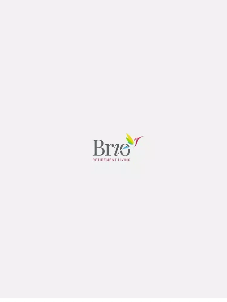 ภาพหน้าจอของ My Brio Retirement iPad 