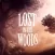 Lost In The Woods - Adventure Game