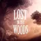 Lost In The Woods - Adventure Game