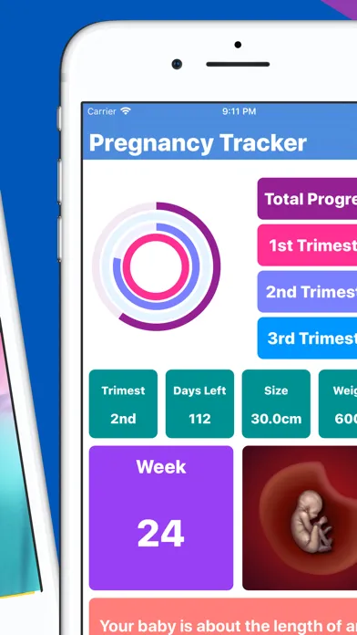 Captures d'écran de Pregnancy Tracker Your Journey