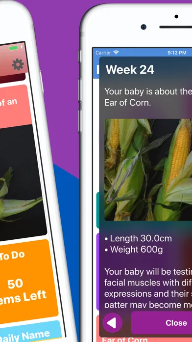 Captures d'écran de Pregnancy Tracker Your Journey