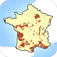 Wine Maps (Unbundled)