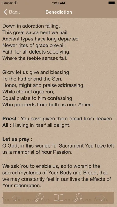 Novena to Our Lady of Perpetual Help سکرین شاٹس
