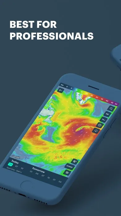 Windy Pro: marine weather app স্ক্রিনশট