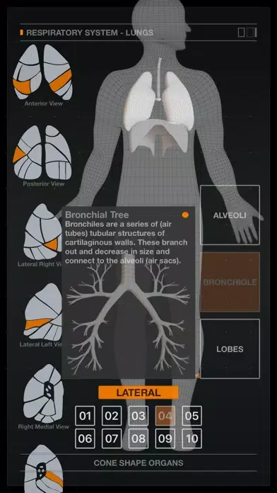 Tangkapan skrin Lungs Respiratory System