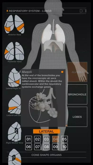 Tangkapan skrin Lungs Respiratory System