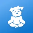 Meditation | Down Dog