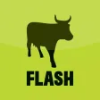 FLASH Trader FLASH Trader