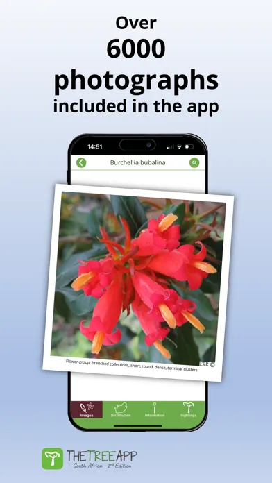 Ảnh chụp màn hình của TheTreeApp SA: Tree Identifier