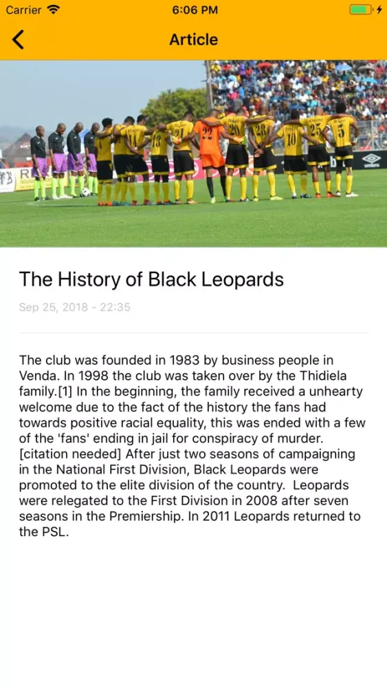 Скриншоты The Great Leopards