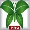 Home Remedies Pro Health Expert – Build Healthier Home using natural cures & daily life hacks and gain personal fitness using various body fat, waist hip ratio, ideal weight, BMI and calorie calculator