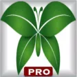 Home Remedies Pro Health Expert – Build Healthier Home using natural cures & daily life hacks and gain personal fitness using various body fat, waist hip ratio, ideal weight, BMI and calorie calculator Home Remedies Pro Health Expert – Build Healthier Home using natural cures & daily life hacks and gain personal fitness using various body fat, waist hip ratio, ideal weight, BMI and calorie calculator