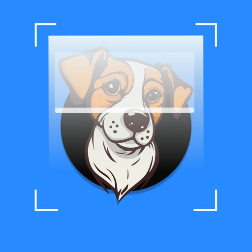 Dog Identification-DogScanner