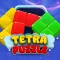Tetra Brick Puzzle Game
