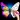 Tap Color Pro