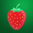 Strawberry Rush Strawberry Rush