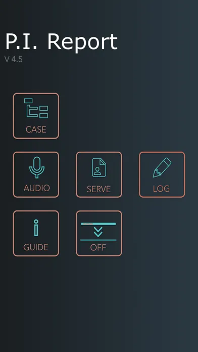 P.I. Report Screenshots