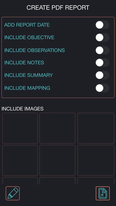 P.I. Report Screenshots