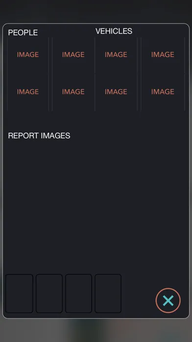 P.I. Report Screenshots