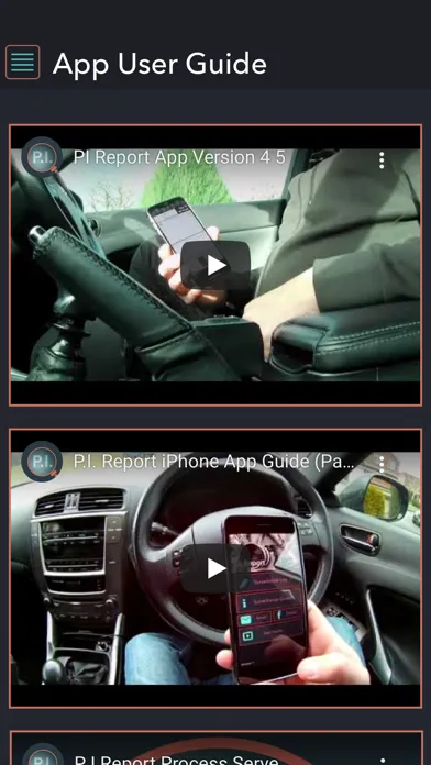 P.I. Report Screenshots