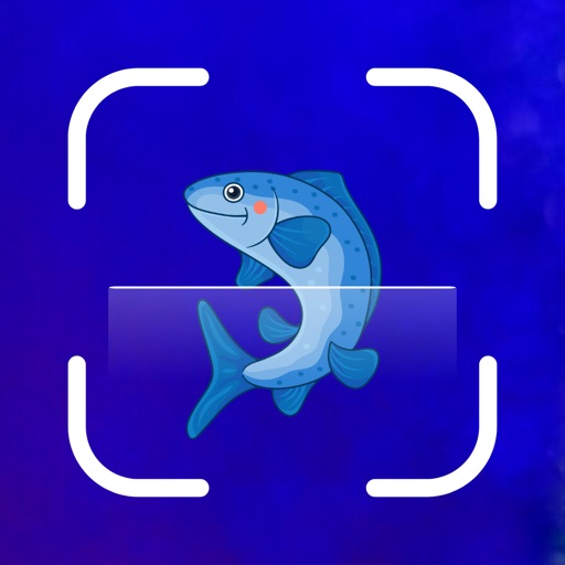 Fish Identifier: Picture Fish Fish Identifier: Picture Fish