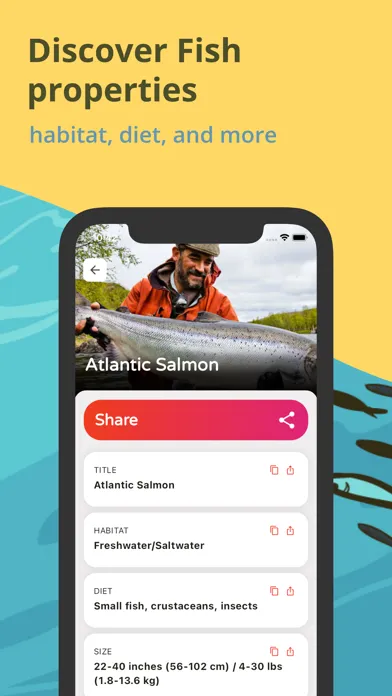 Fish Identifier: Picture Fish應用截圖