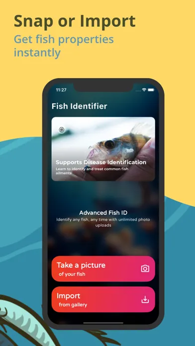 Fish Identifier: Picture Fish應用截圖