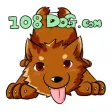 108DOG.COM