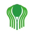 RAQUETA BOSQUES RAQUETA BOSQUES