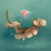 10monkeys Diver