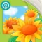 Golden Garden (16 flowers)