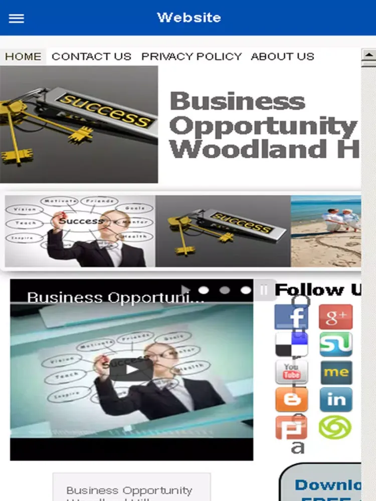 ภาพหน้าจอของ Business Opportunity iPad 