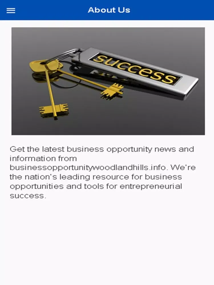 ภาพหน้าจอของ Business Opportunity iPad 