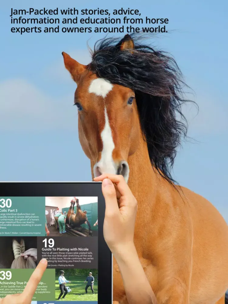 Saddle And Stirrups Magazine: Equestrian health, nutrition and horsemanship for horse and rider iPad  Screenshots