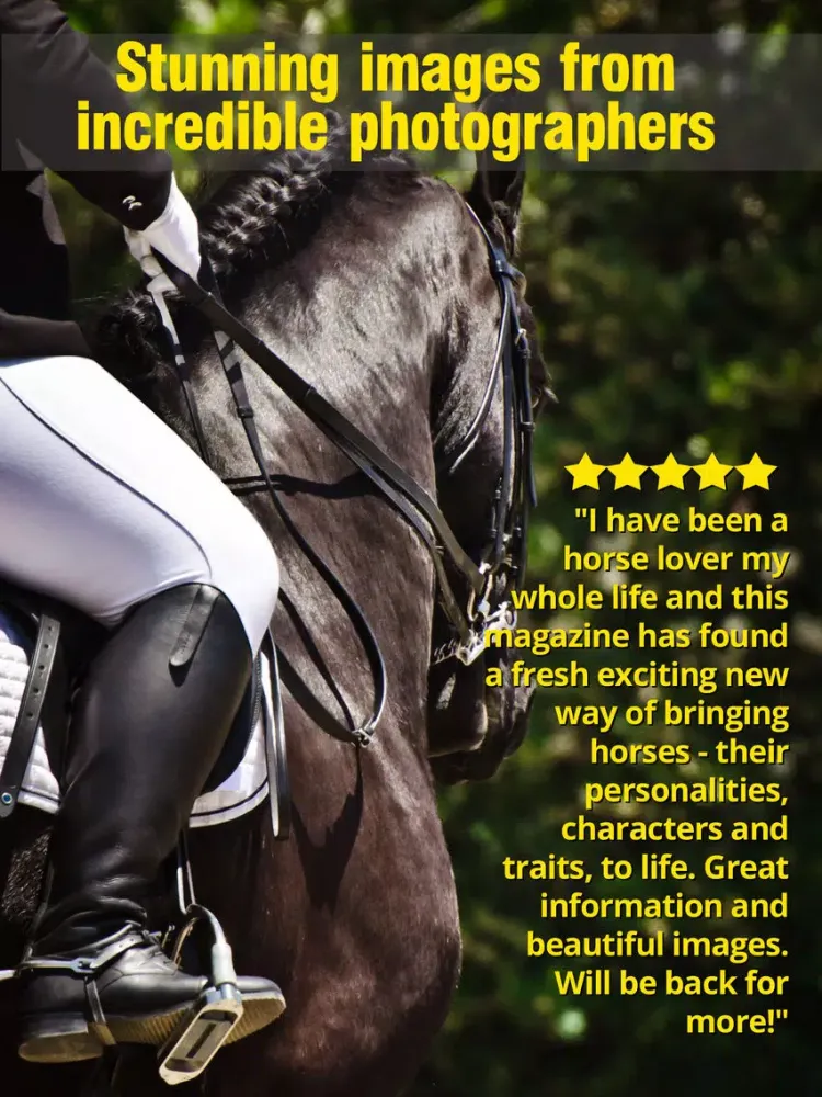Saddle And Stirrups Magazine: Equestrian health, nutrition and horsemanship for horse and rider iPad  Screenshots