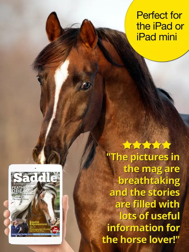 Saddle And Stirrups Magazine: Equestrian health, nutrition and horsemanship for horse and rider iPad  Screenshots
