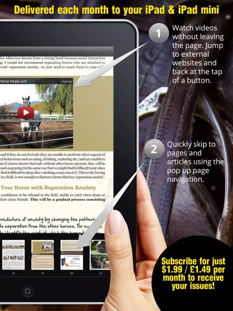 Saddle And Stirrups Magazine: Equestrian health, nutrition and horsemanship for horse and rider iPad  Screenshots