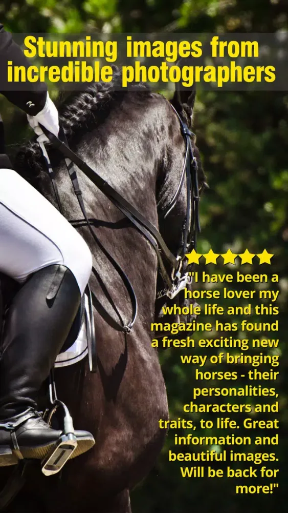 Saddle And Stirrups Magazine: Equestrian health, nutrition and horsemanship for horse and rider Screenshots