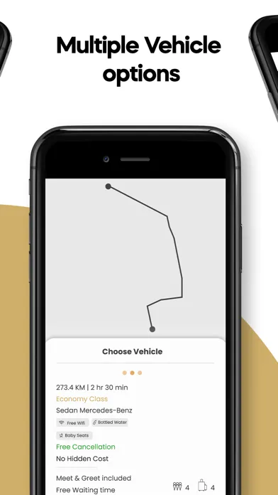 Tangkapan skrin 133VIP Chauffeur Solutions