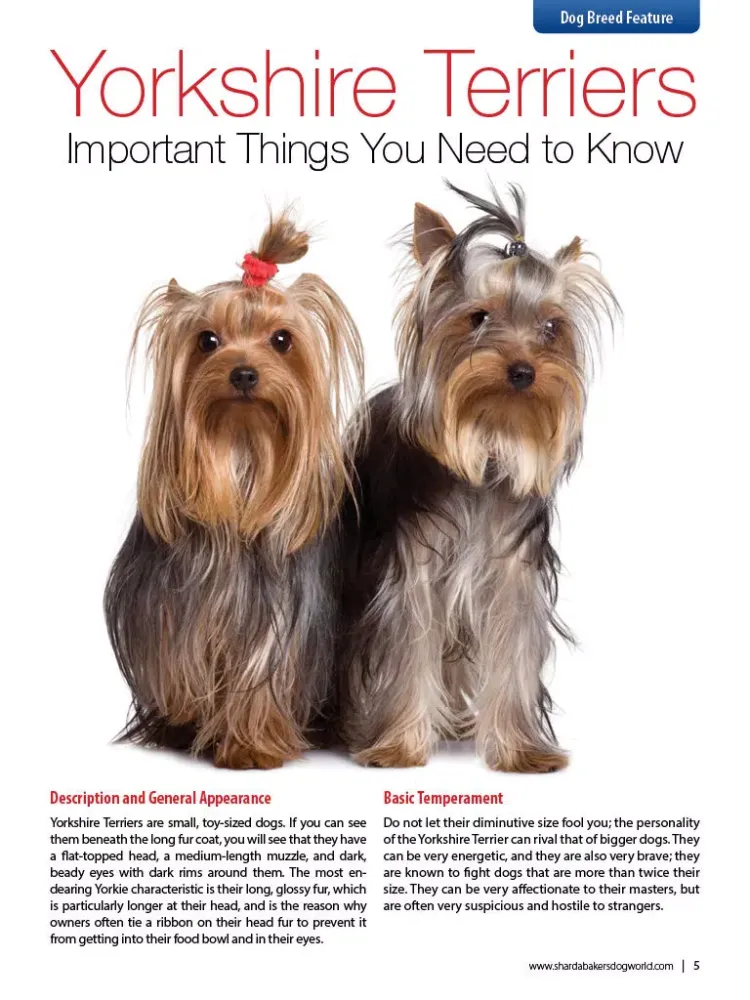 Zrzuty ekranu Sharda Bakers Dog World Magazine - Everything you need to know about the amazing world of dogs. iPad 