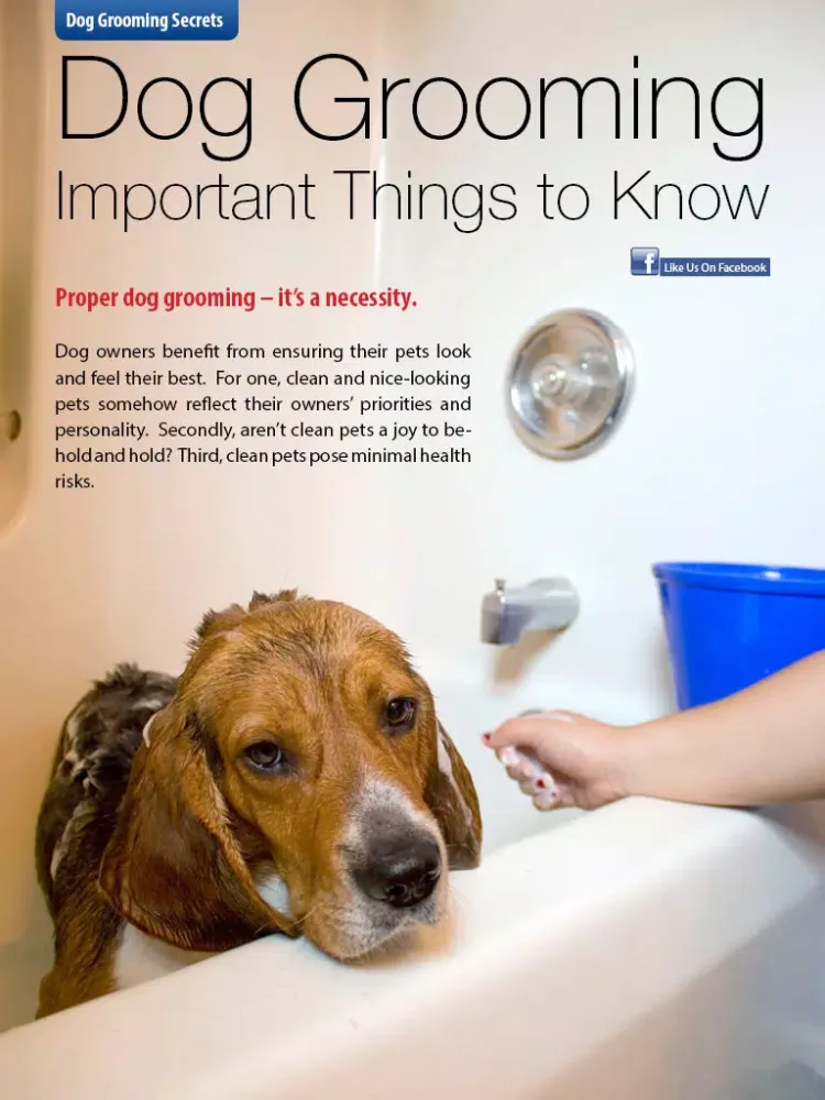 Zrzuty ekranu Sharda Bakers Dog World Magazine - Everything you need to know about the amazing world of dogs. iPad 